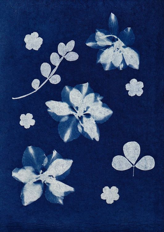 Motif floral William Morris avec oiseaux et feuillages entrelacés — style Arts & Crafts