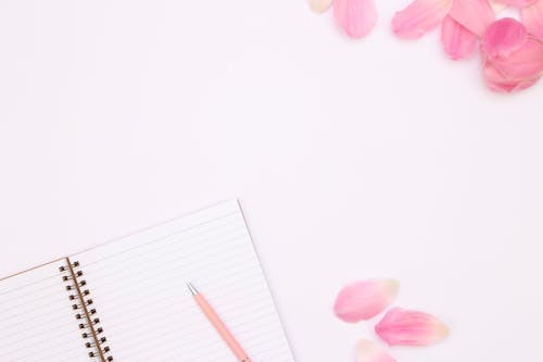 Overhead Shot of Pink Petals Near a Notebook