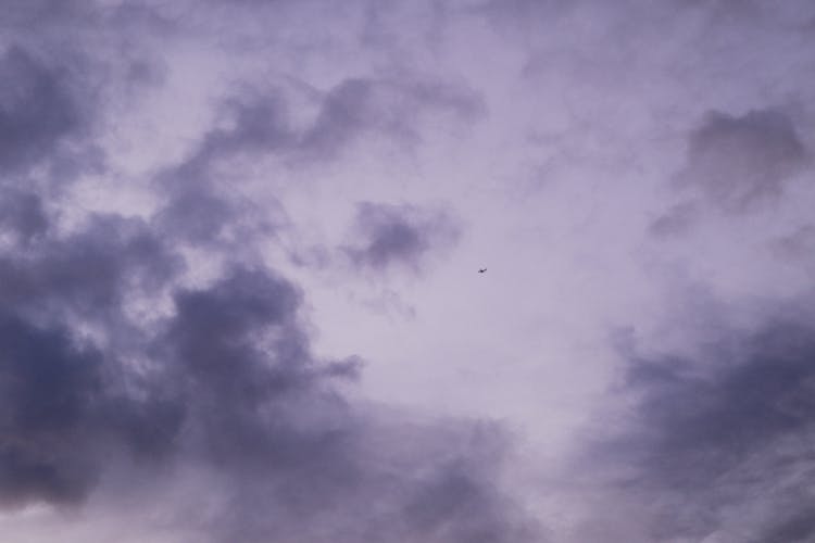 Plane On Purple Sky