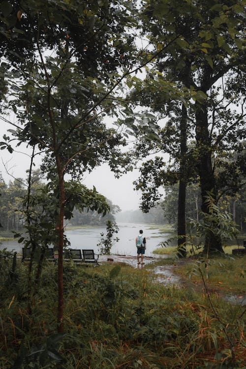 下雨, 人, 公園 的 免費圖庫相片