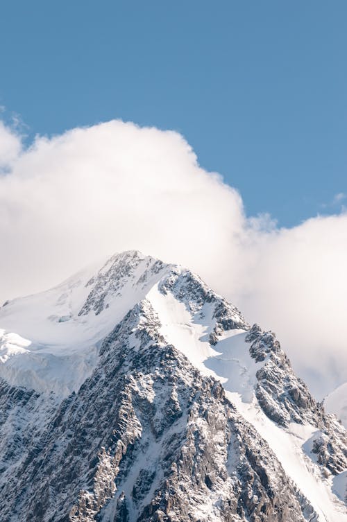 Snowcapped Mountain Top 