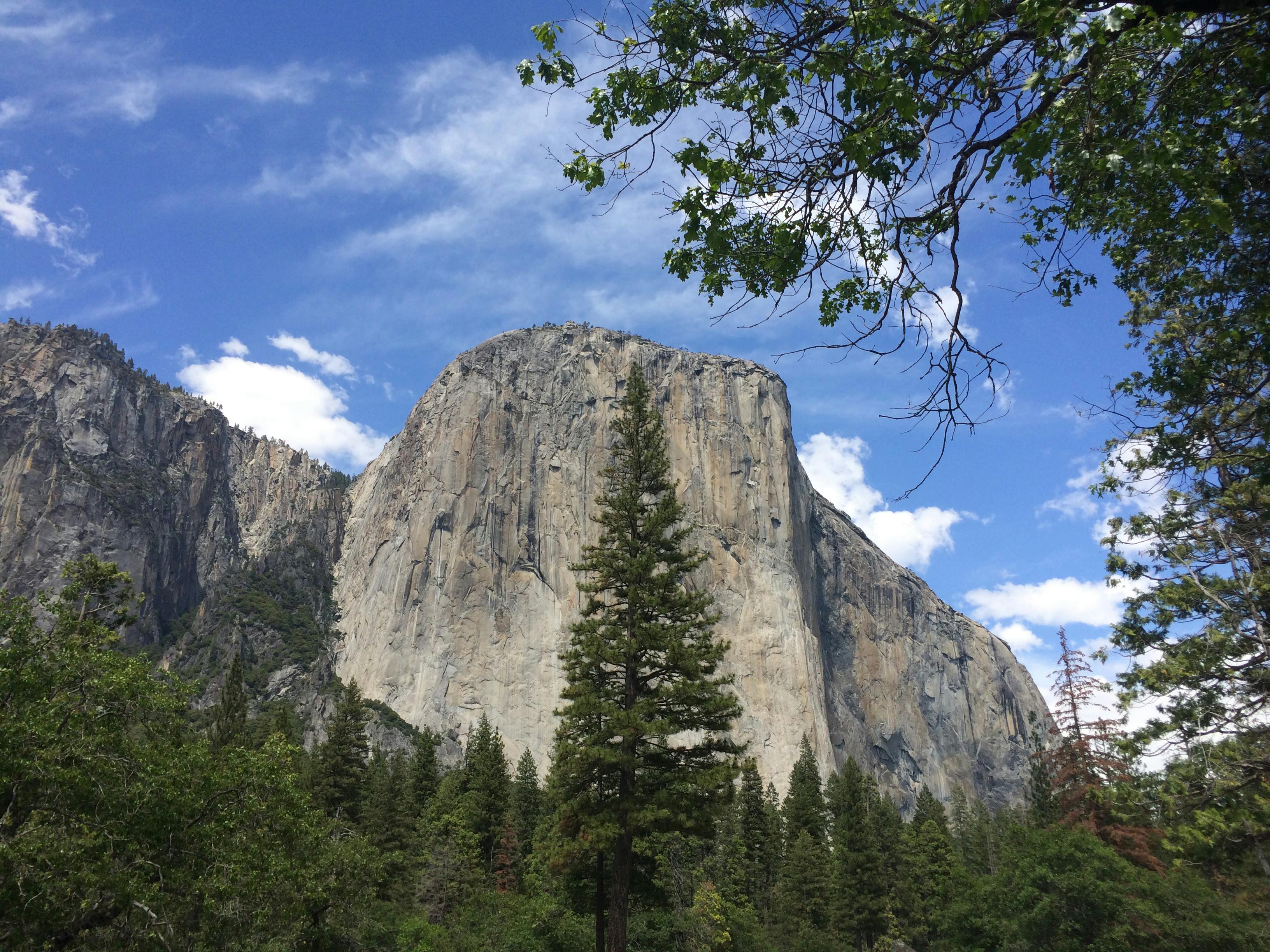 BMW 5 Series 이미지