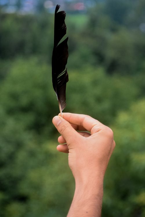 Free A person holding a single black feather outdoors with greenery in the background. Stock Photo