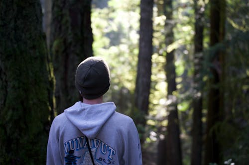 Free stock photo of hiking, man hiking, mans back in forest