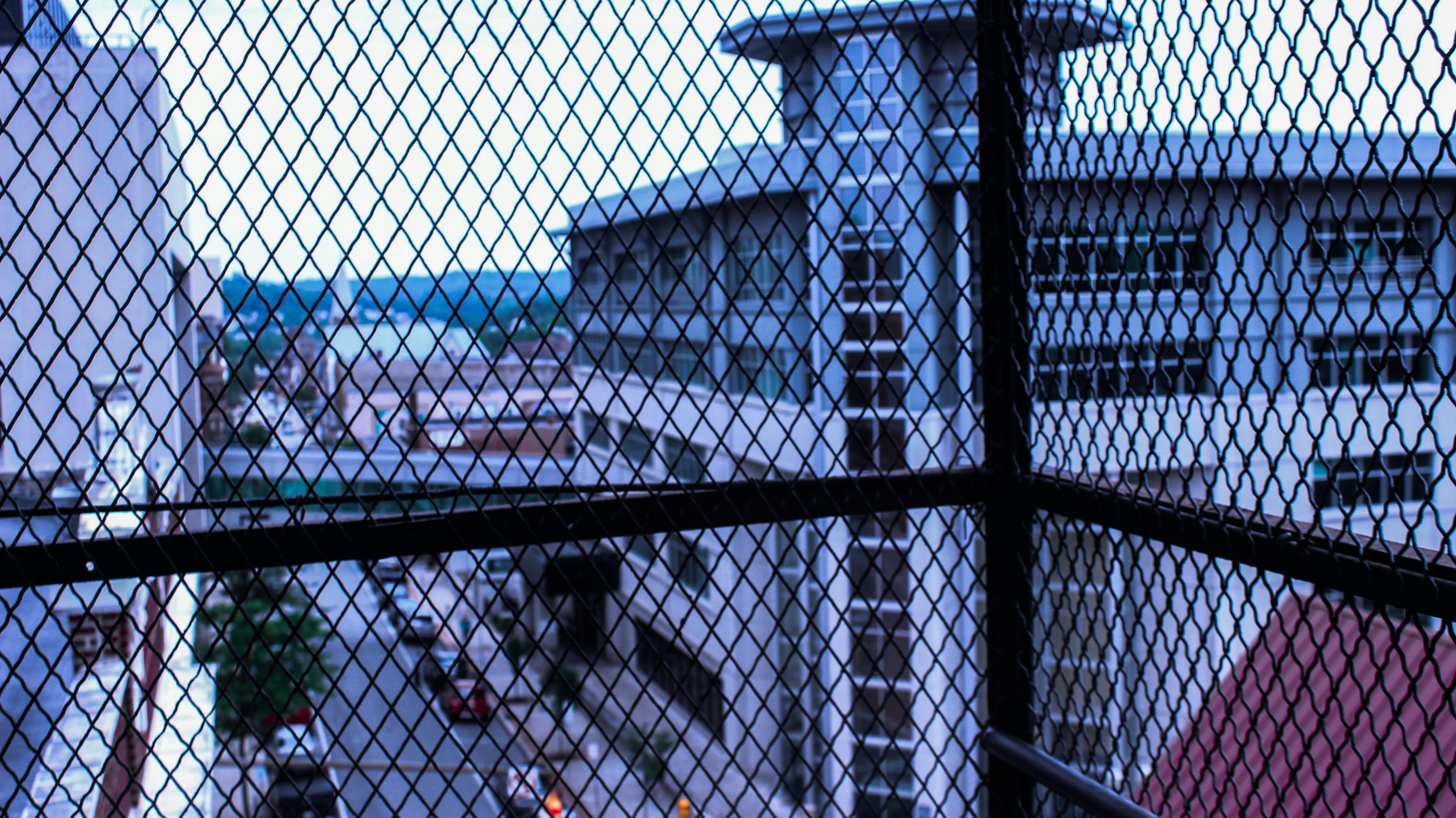 Kostenloses Foto zum Thema: bäume, beleuchtung, bokeh