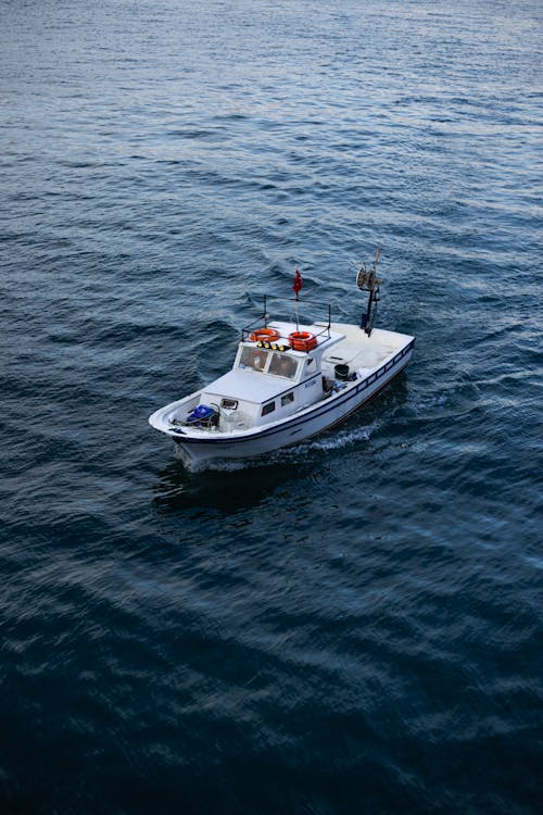 balıkçı teknesi, cankurtaran simidi, deniz içeren Ücretsiz stok fotoğraf