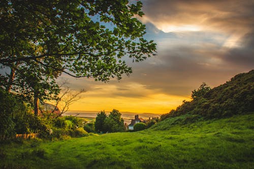 Free Green Trees Under Blue and Orange Sky during Sunset Stock Photo