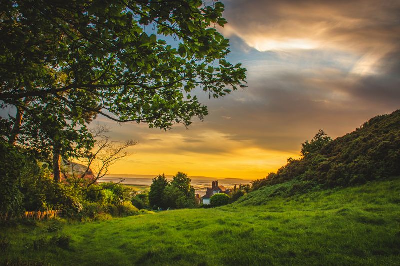 Convert RAW to JPG: Complete Guide to Camera RAW File Conver