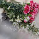 White and Pink Flowers on White Textile