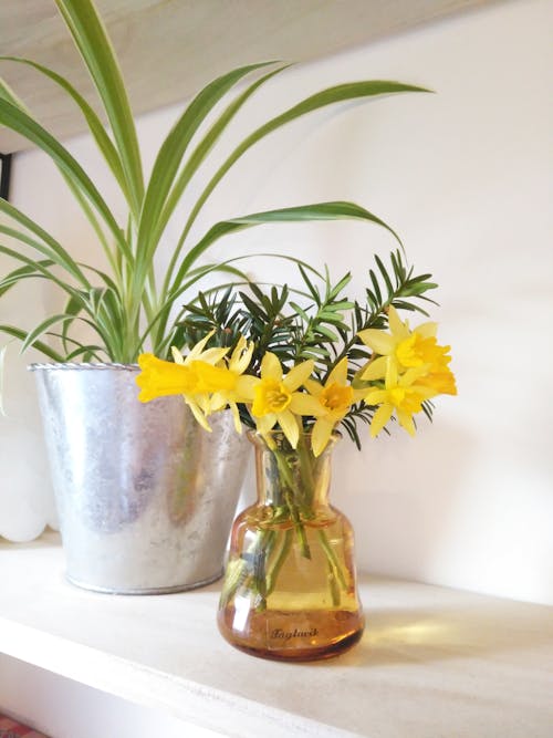 Yellow Flowers in a Glass Vase