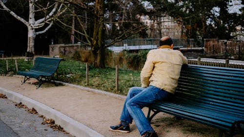 Man Sitting on Brown Wooden Bench during Daytime · Free Stock Photo