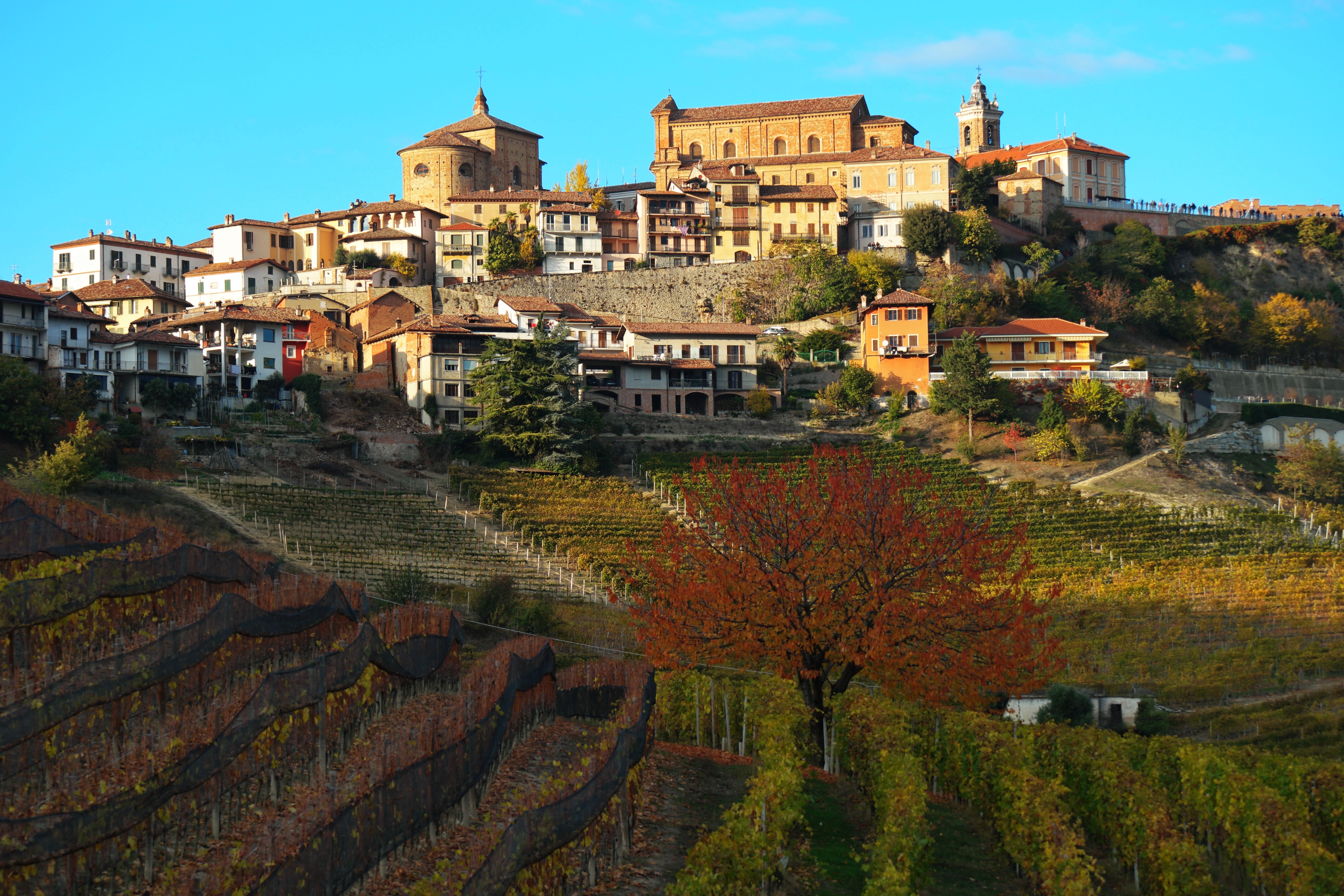 Beautiful view of a hillside town with vineyards in autumn, showcasing classic architecture.