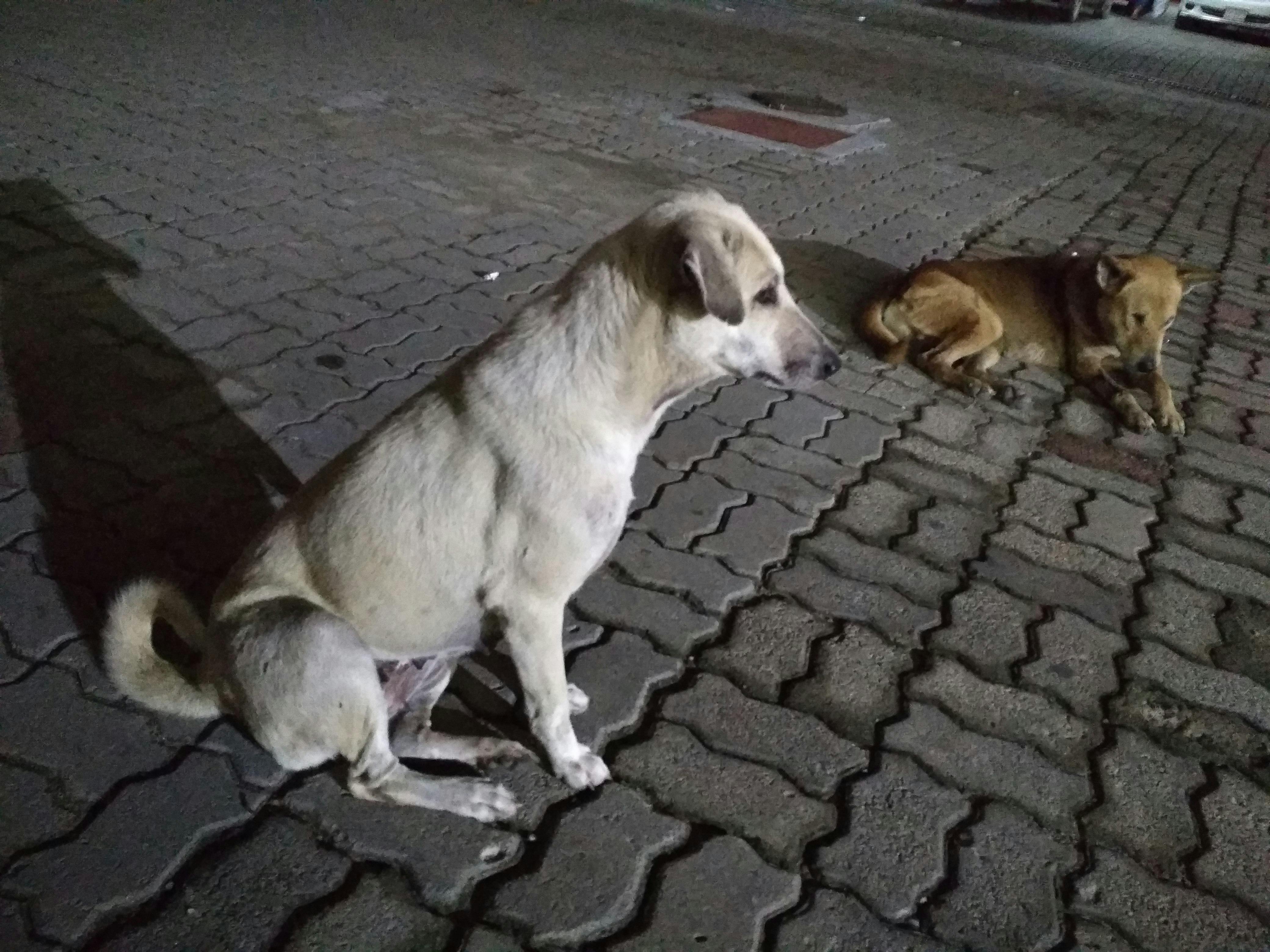 现代化办公室内景