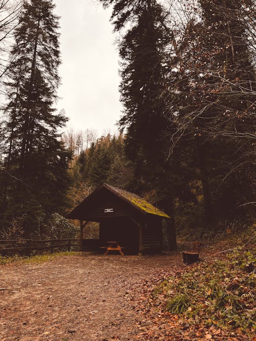 Photos gratuites de abri de jardin, campagne, en bois