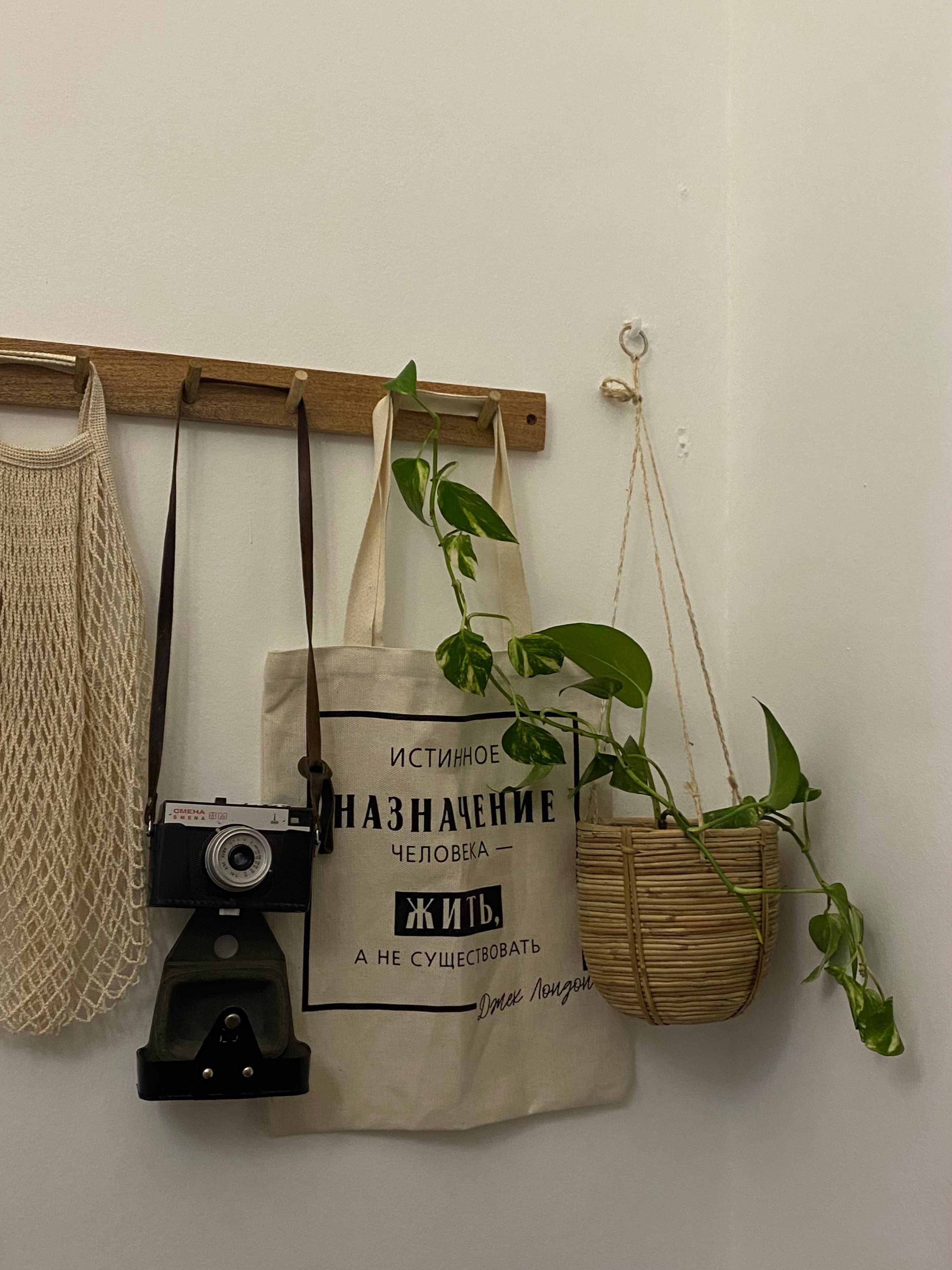 Wall hooks with hanging bag, vintage camera, and potted plant for stylish home decor.