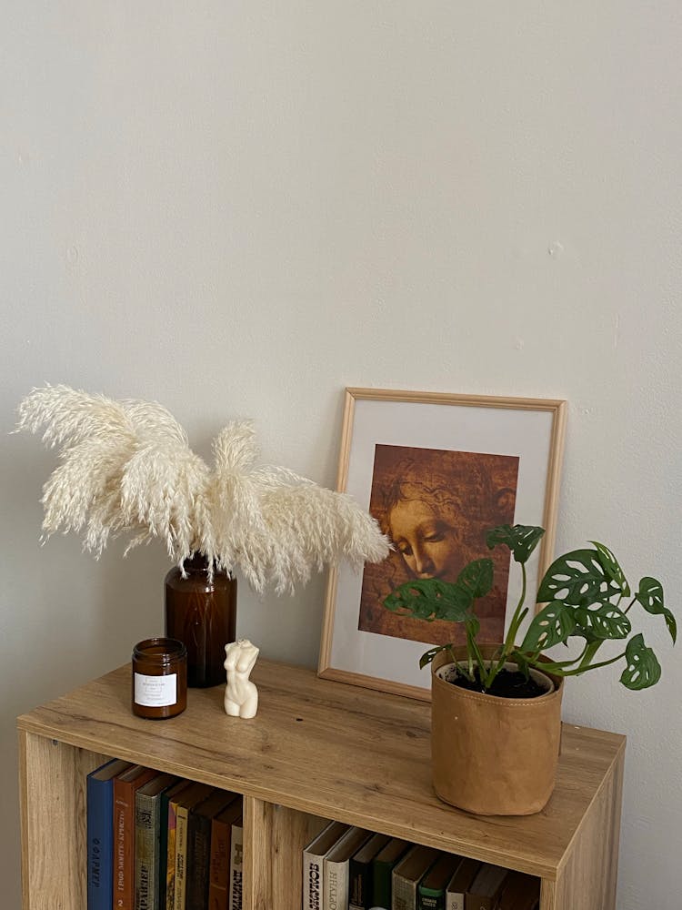 Image And Plants On Dresser