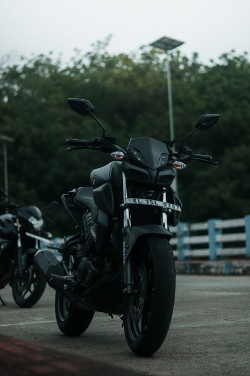 Free Black Yamaha motorcycle parked outdoors with lush greenery backdrop in India. Stock Photo