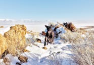 在犹他州锡拉丘兹的白雪皑皑风景中，一只黑狗快乐地奔跑，背景是山脉