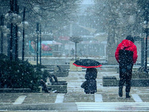 People Wearing Winter Clothing Walking on the Street During Snow Fall