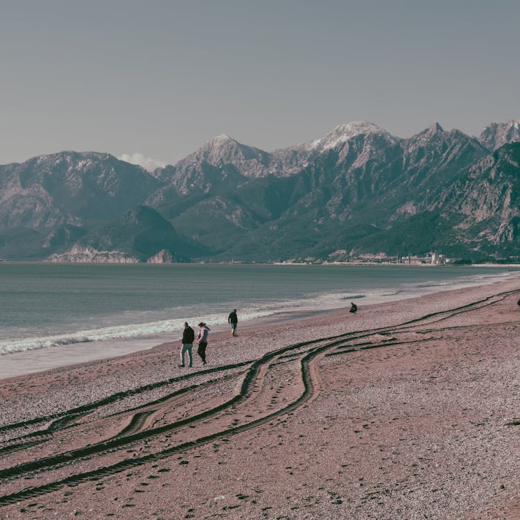 People And Tyre Tracks On Beach