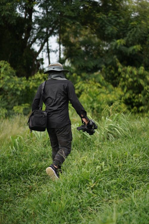 Free A photographer in black attire carrying equipment walks through a green forest. Stock Photo