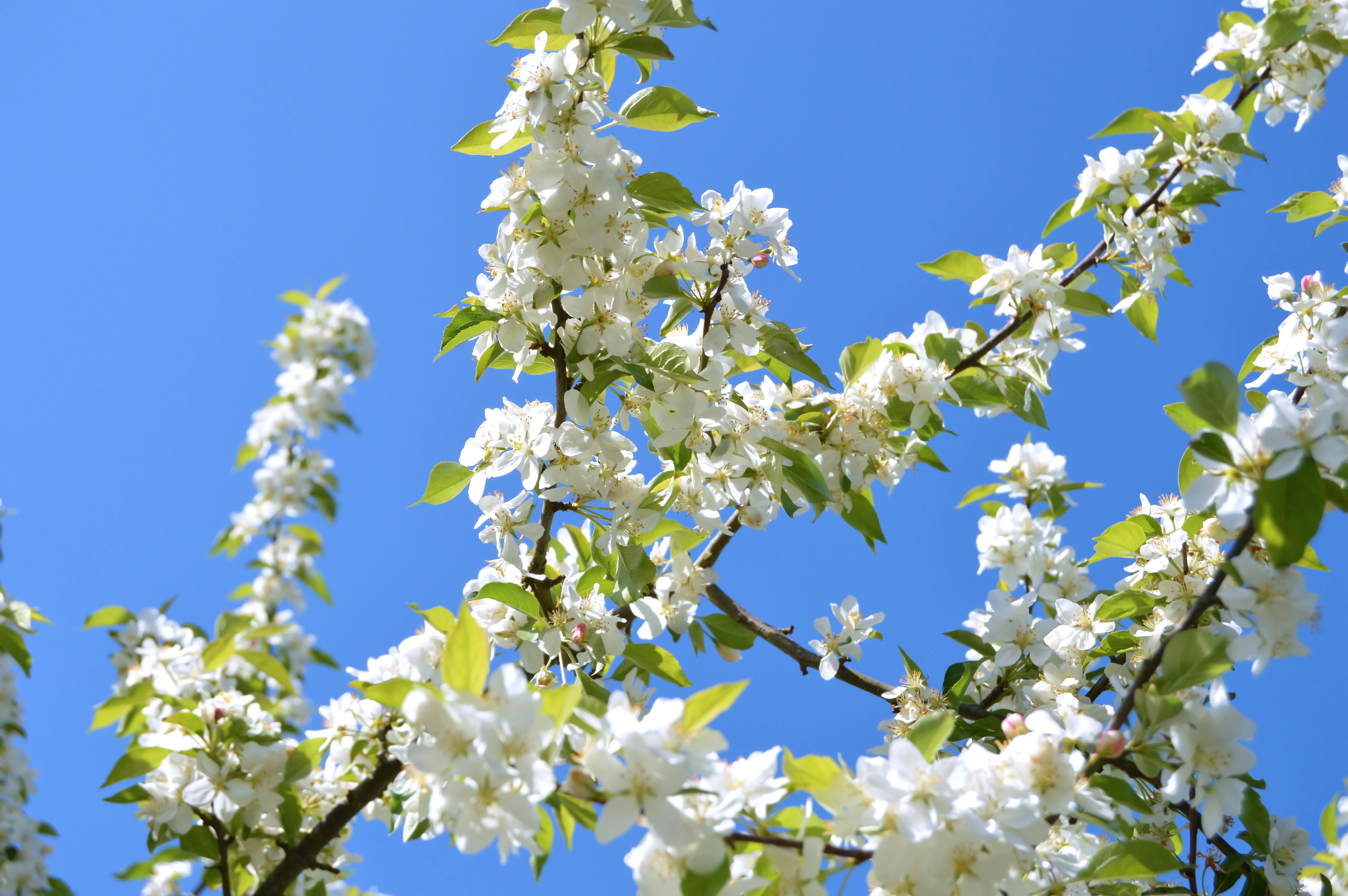 전기차 충전 이미지