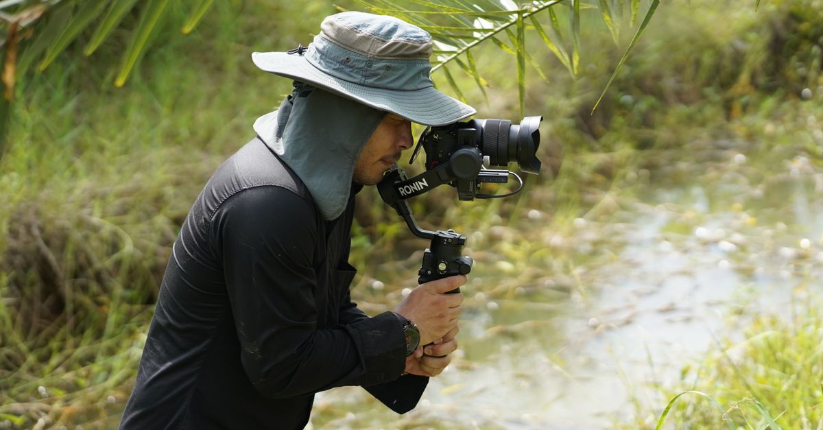 Exploring Tripura's Hidden Gems: A Web Series Filming Location Guide