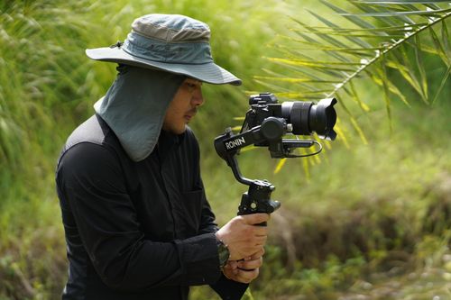 Free A focused videographer captures nature scenes with a camera on a gimbal amidst lush greenery. Stock Photo