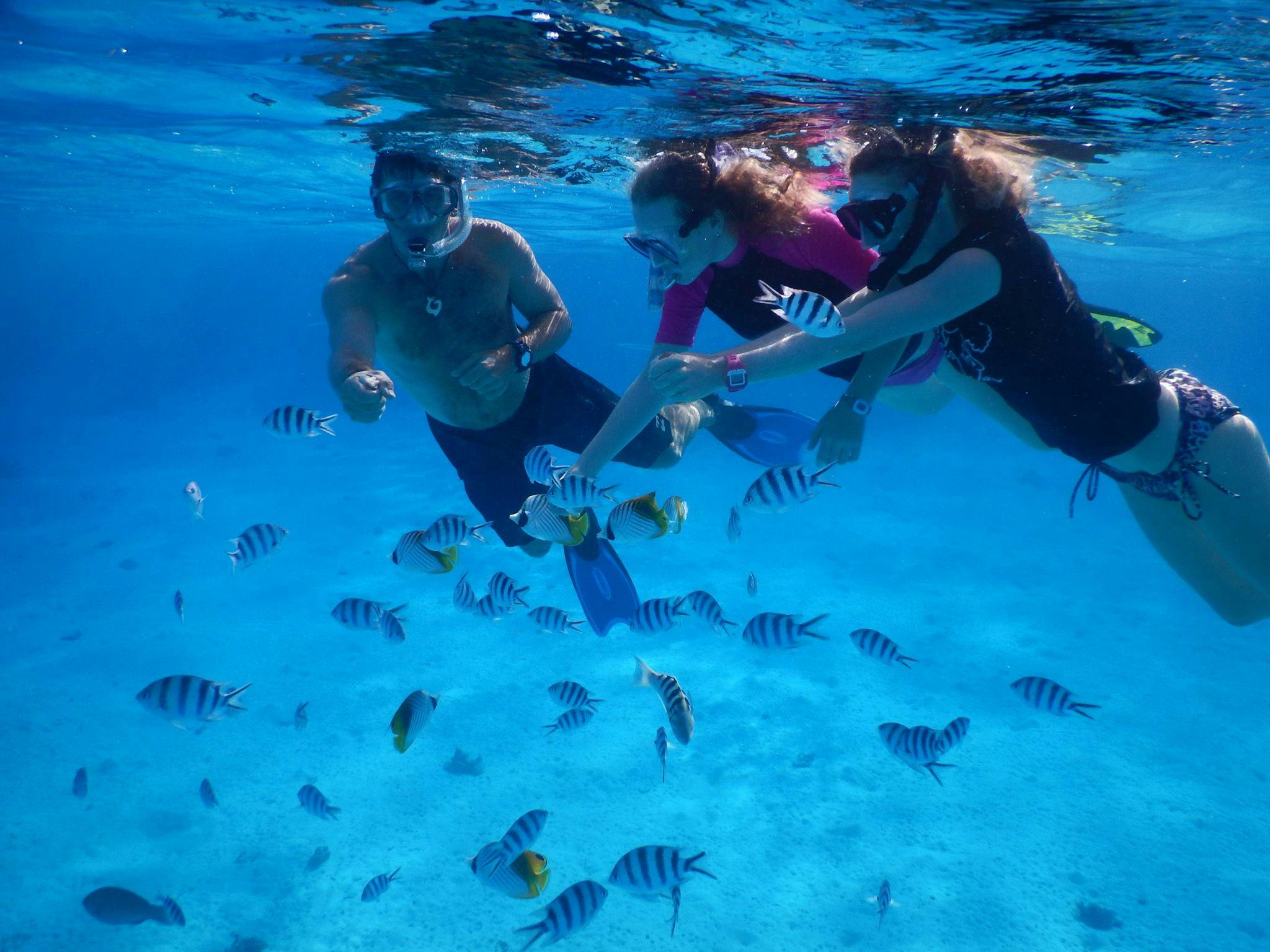 Interior moderno de un coche eléctrico