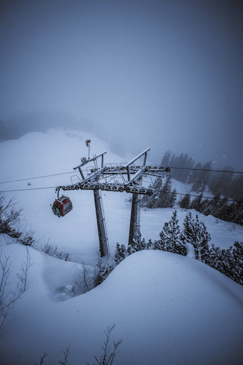 冬季, 冬季景觀, 大雪覆盖的地面 的 免费素材图片