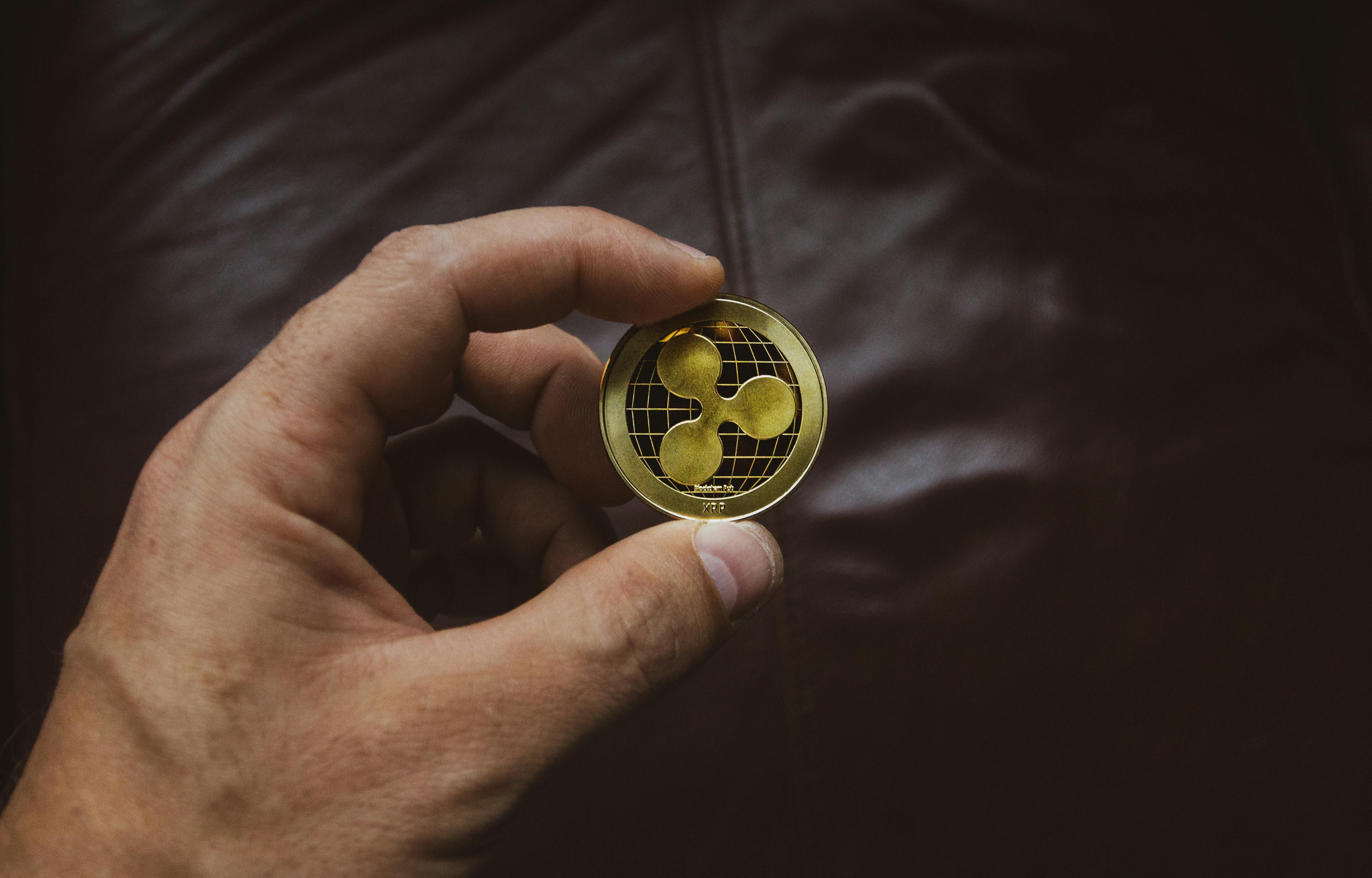 Person Holding Round Gold-colored Coin · Free Stock Photo