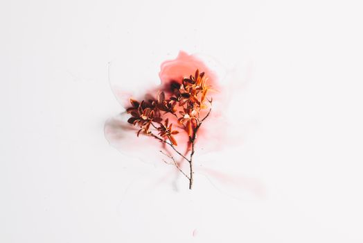 Aesthetic branch with vibrant orange leaves surrounded by colored liquid on a white backdrop.