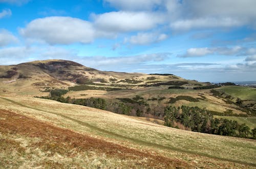 Hills with Green Grass and Trees 