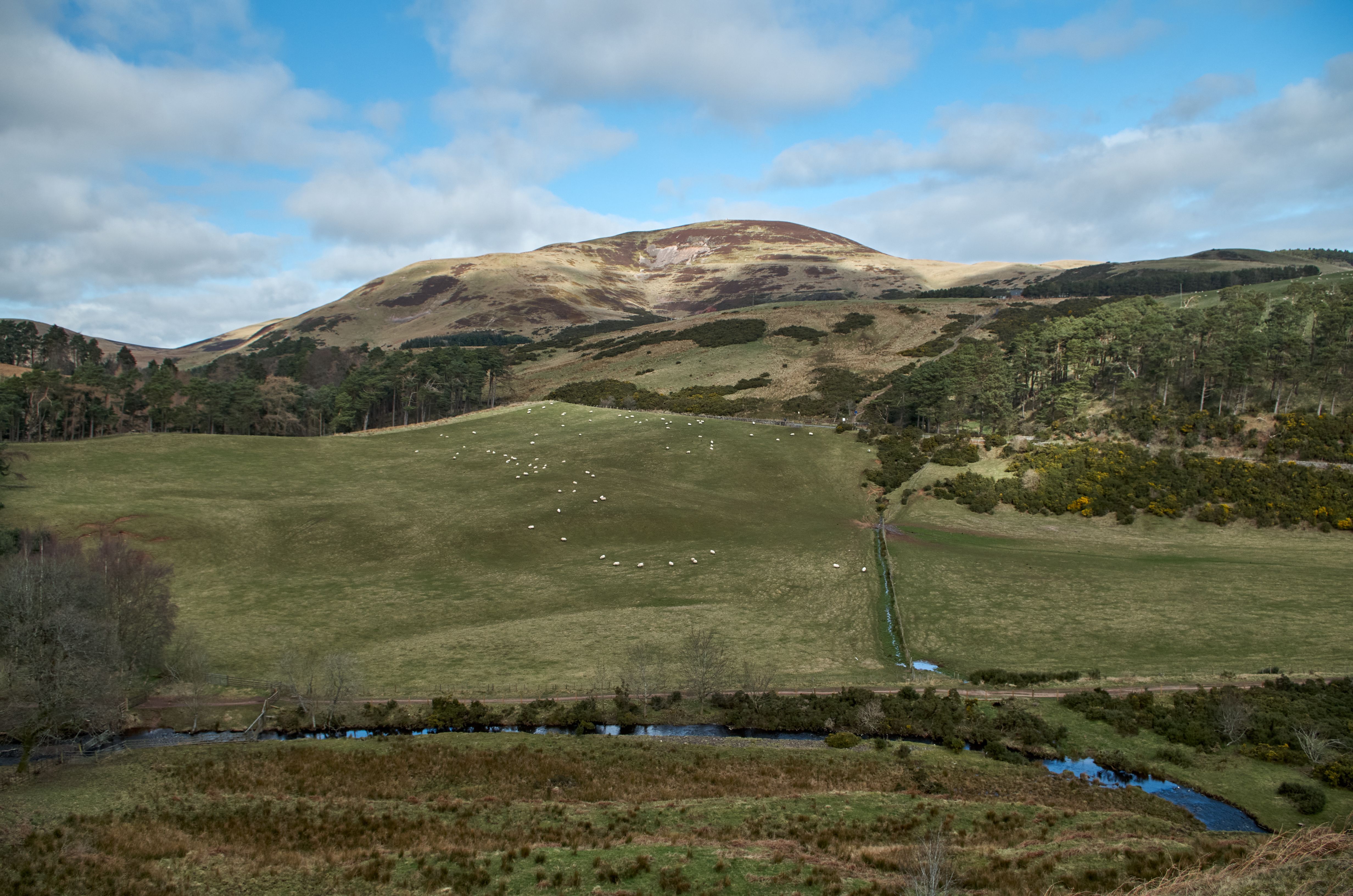 Picturesque hillside with lush greenery under a blue sky, perfect for nature enthusiasts.