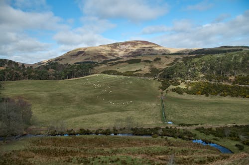 A River near the Hills 