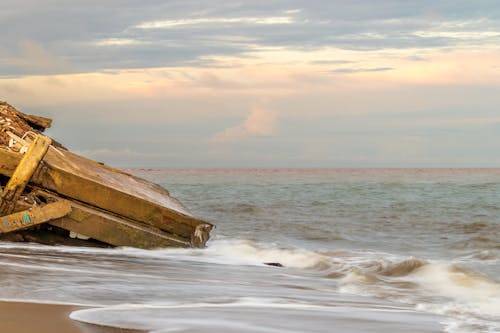 Foto d'estoc gratuïta de costa oceànica, fusta, naufragi