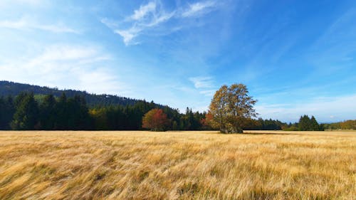 Free stock photo of autumn, big rocks, blog