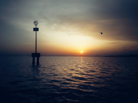A serene ocean sunset with a bird flying over the water, creating a peaceful silhouette.