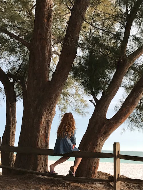 Ağacın Yanında Ahşap çit üzerinde Oturan Kadın
