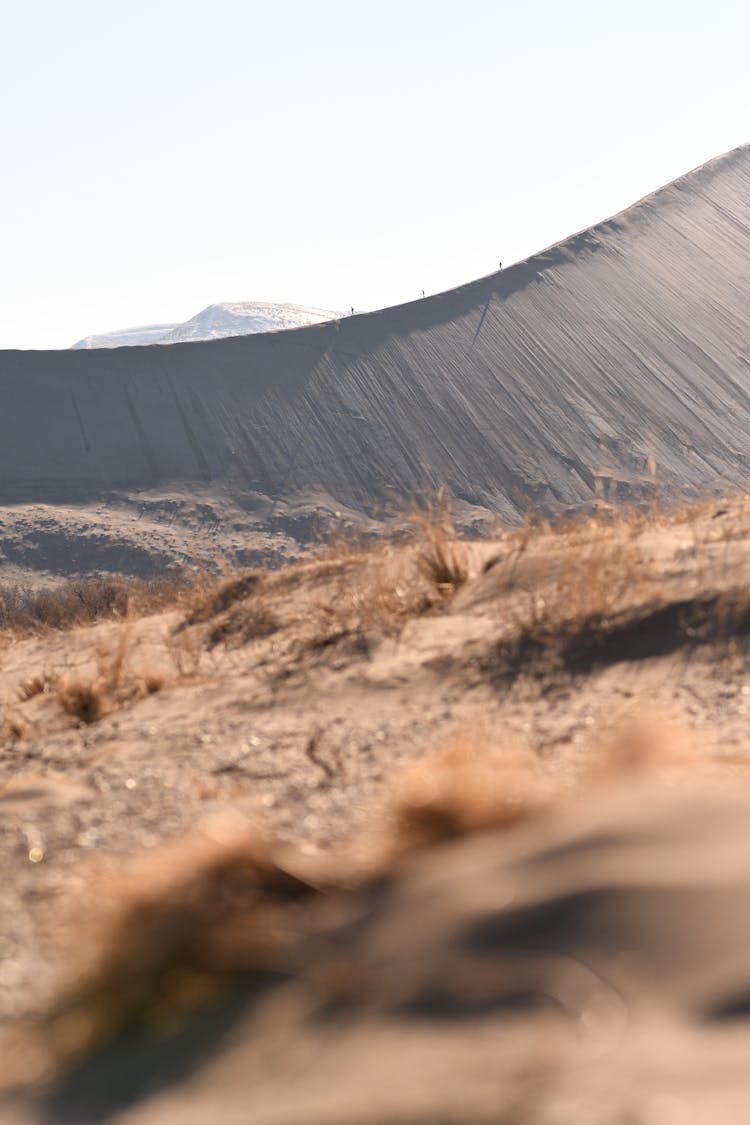 Dry Sand Dune