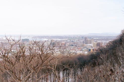 Free stock photo of montreal site seen, Mount-Royal site seen, site seen 2 Stock Photo