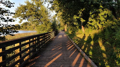 Free stock photo of bikes, bridge, chilling