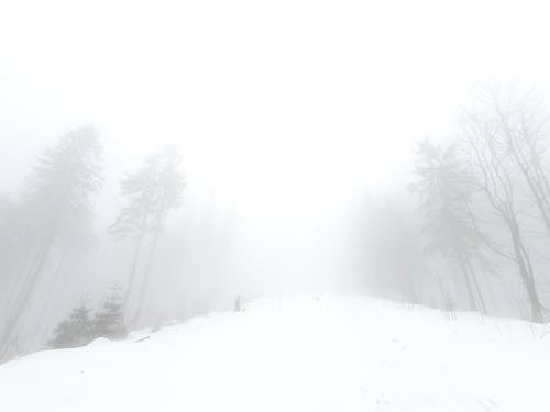 アウトバック, トリップ, 冬の無料の写真素材