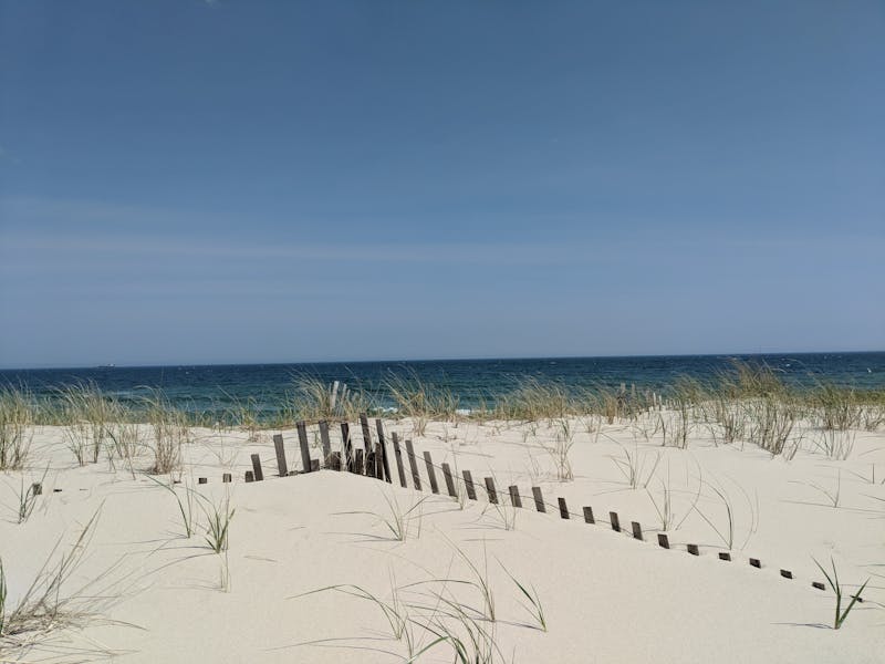 训练流程示意图