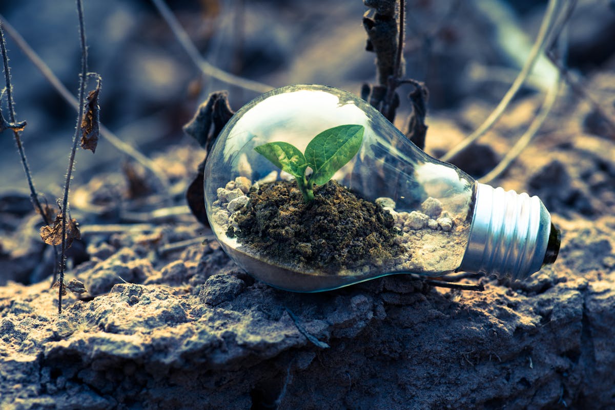 Sustainable Tech Innovation: Balancing Environmental Responsibility and Business Growth