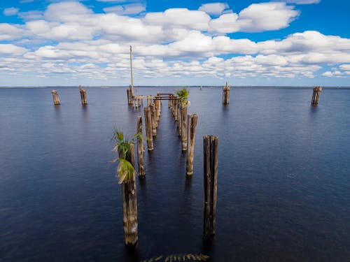 Wooden Beams in the Sea