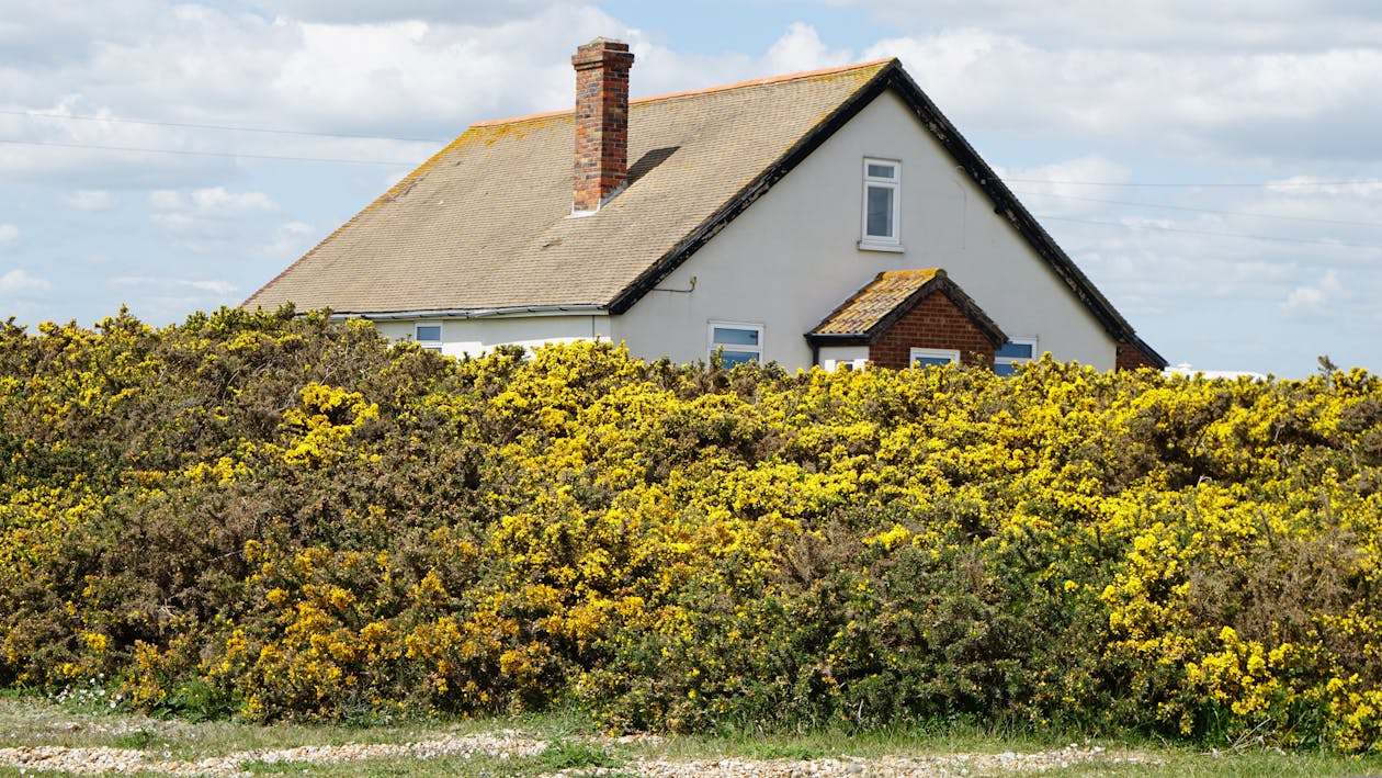 White and brown house with a chimney