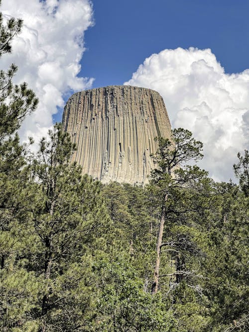 Low Angle Shot of Devils Tower