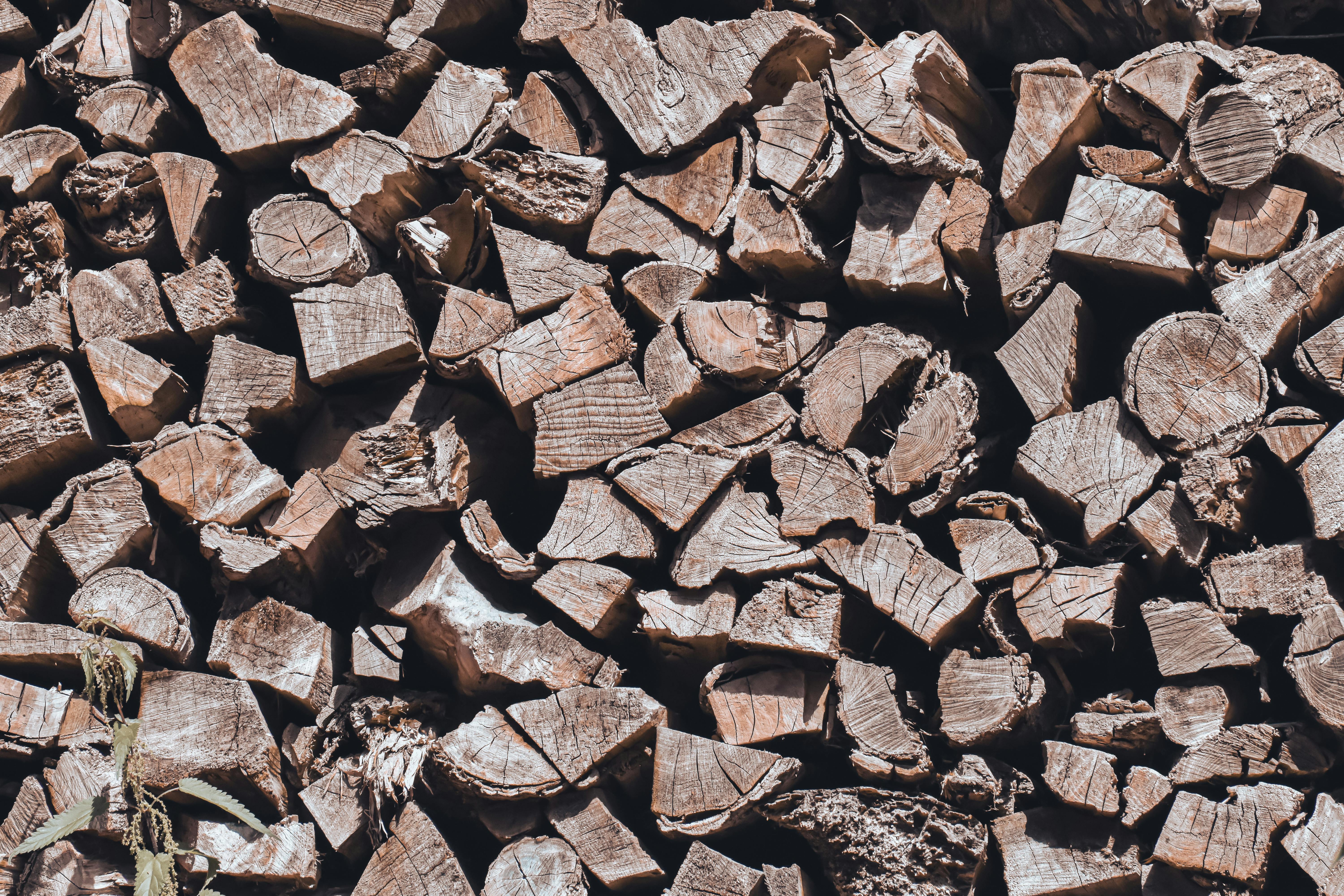Best Wood Chippers and Shredders (2026): Electric and Gas Models for Home Use