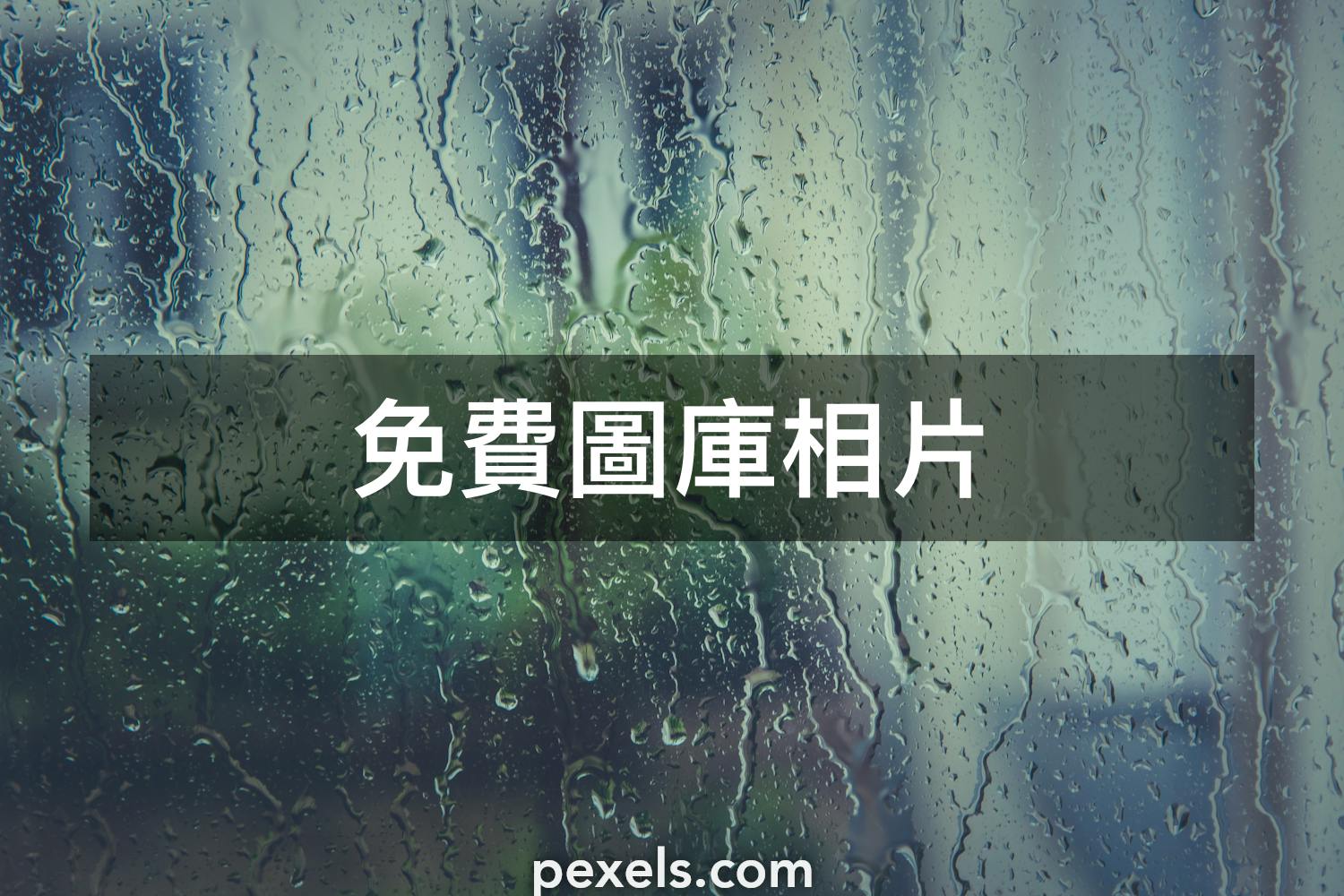 400 000 張最佳下雨天相片 100 免費下載 Pexels 圖庫相片